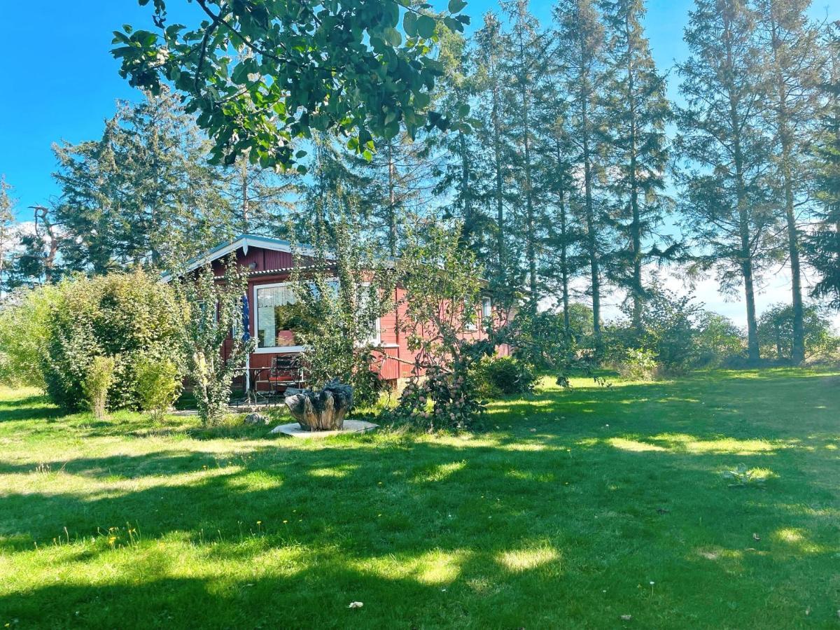 Landhaus Mit Pool, Bungalow In Der Natur Hohenbollentin Exteriör bild